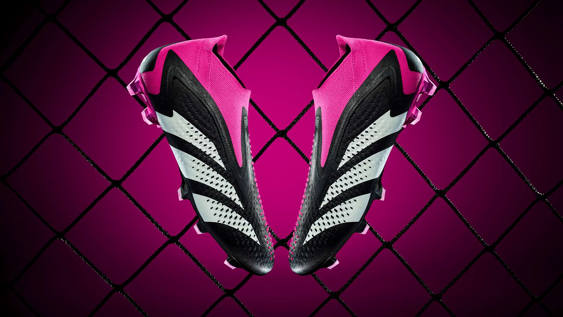 国家足球队 国家足球队