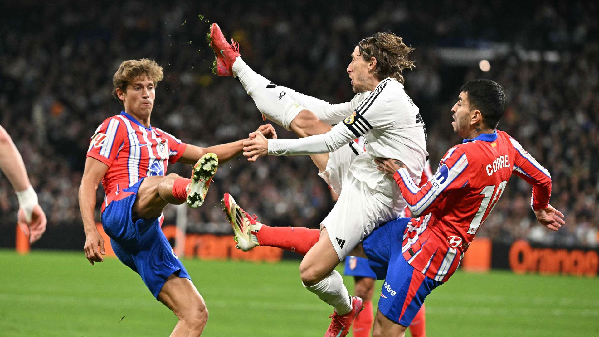 向被譽為 向被譽為