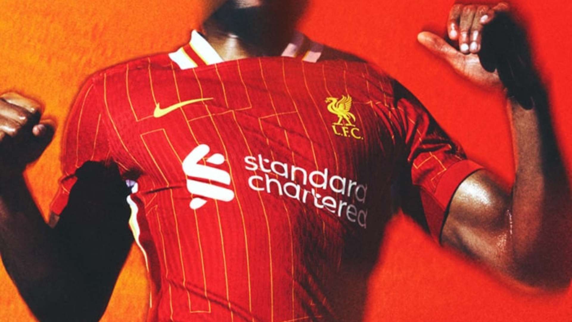 卡塔尔却愈 卡塔尔却愈