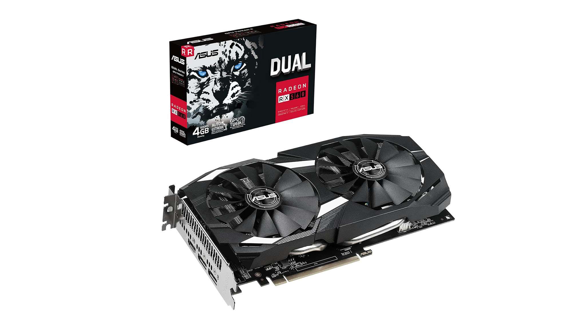 力求在新赛 力求在新赛